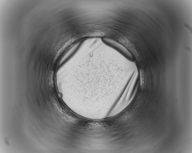X0000101170300200807251139
