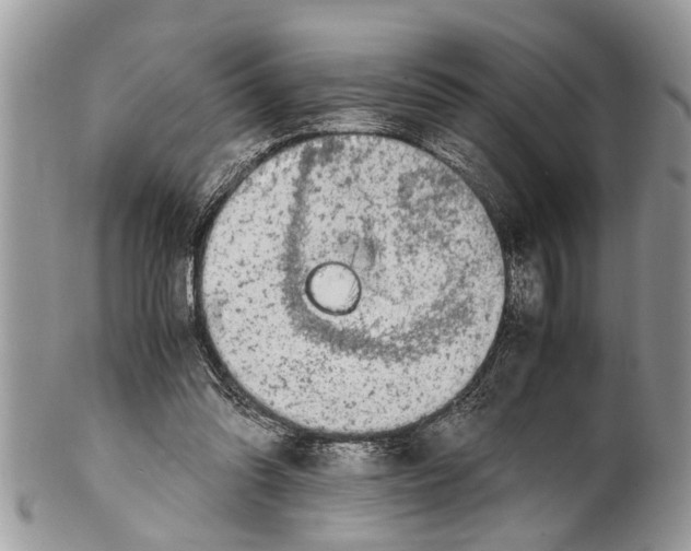 X0000101170302200807251139