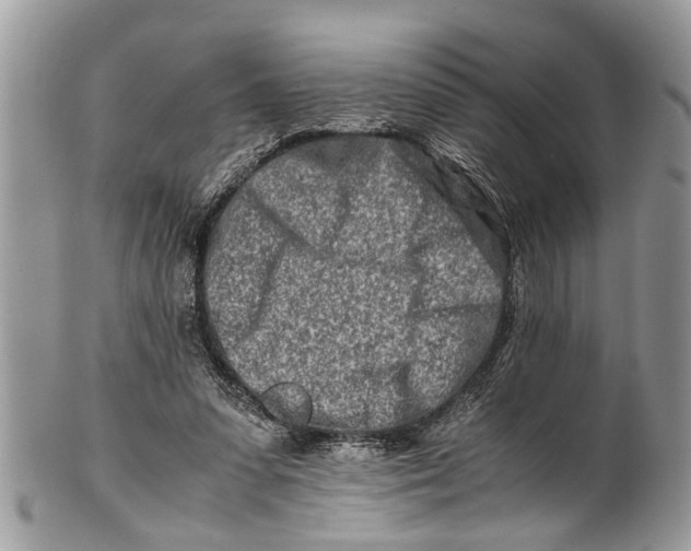 X0000101170303200807251139