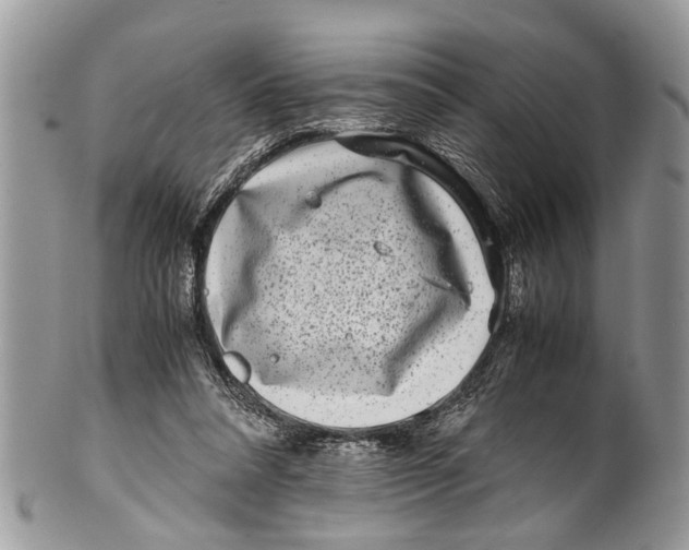 X0000101170304200807251139