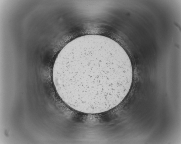 X0000101170305200807251139