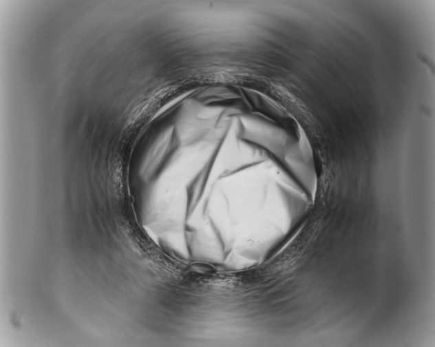 X0000101170306200807251139