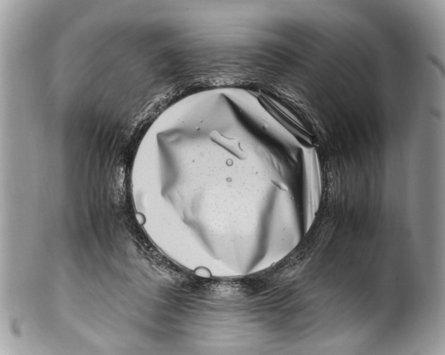 X0000101170308200807251138