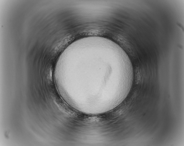 X0000101170310200807251138