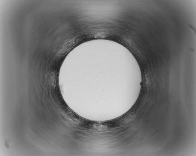 X0000101170311200807251138