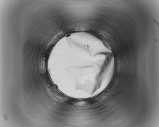 X0000101170312200807251138