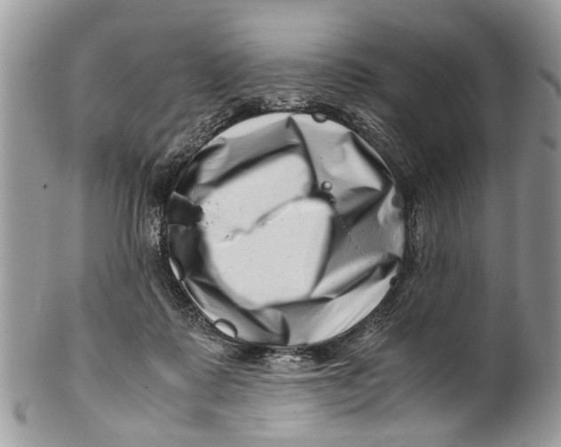 X0000101170315200807251138