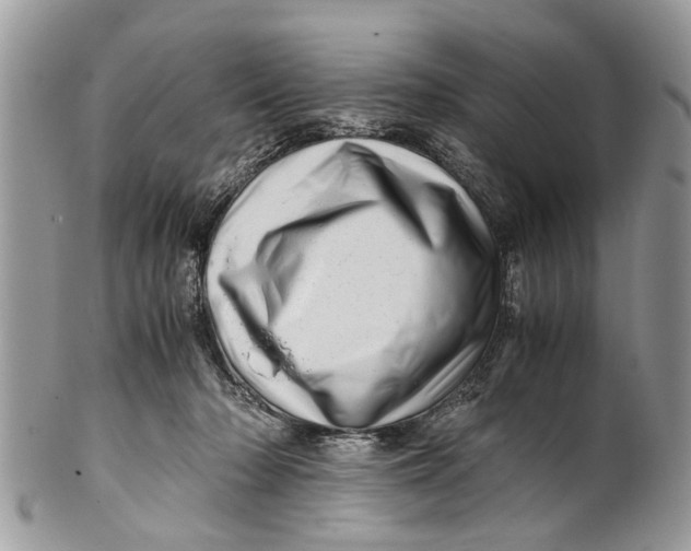 X0000101170318200807251138