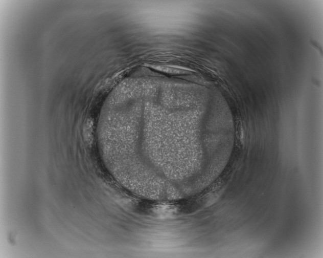 X0000101170319200807251138