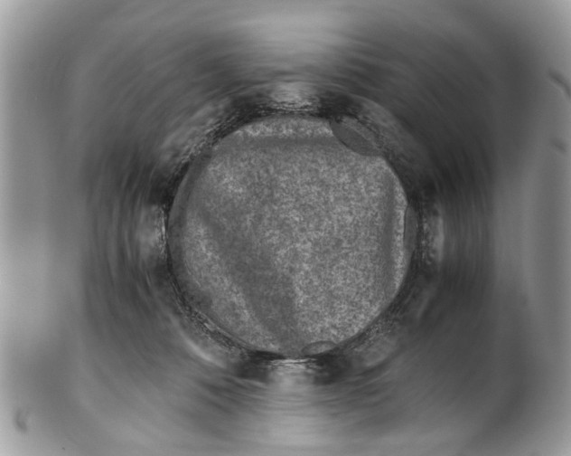 X0000101170320200807251138