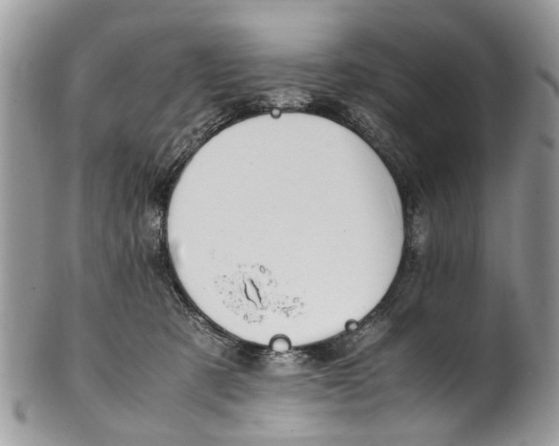 X0000101170321200807251138