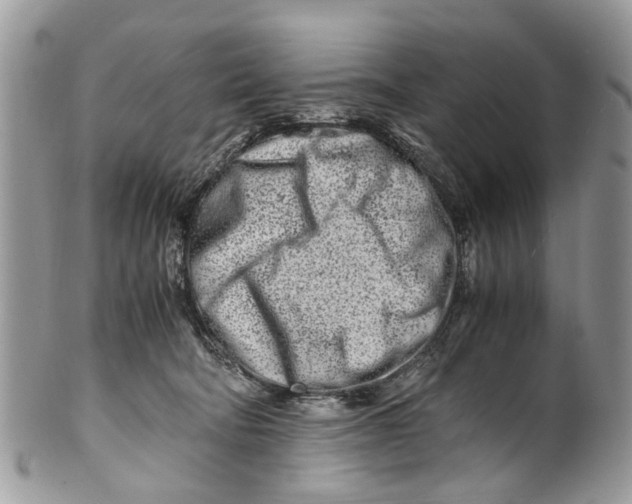 X0000101170322200807251138