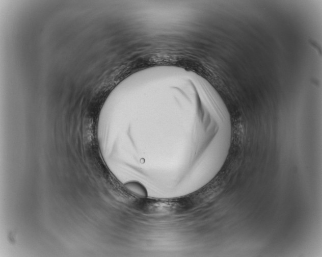 X0000101170323200807251138