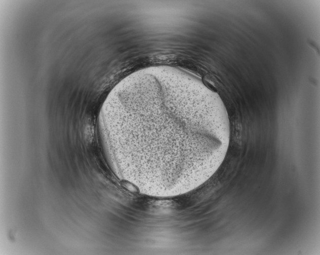 X0000101170324200807251138