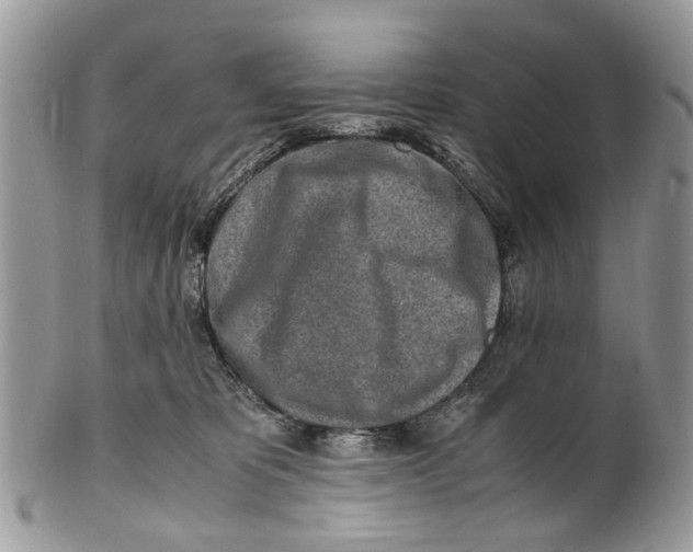 X0000101170325200807251138