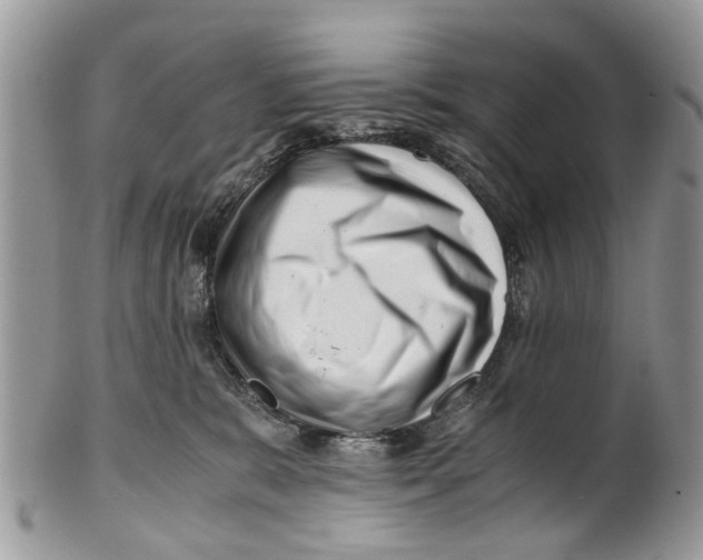 X0000101170327200807251138