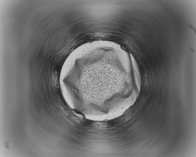 X0000101170328200807251138