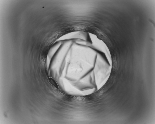 X0000101170329200807251138