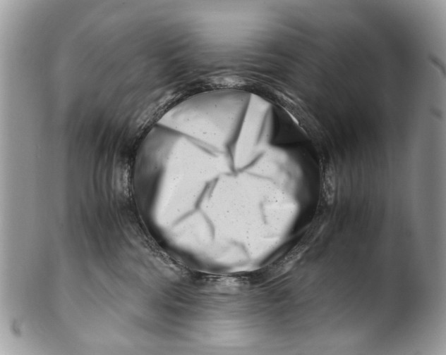 X0000101170330200807251138