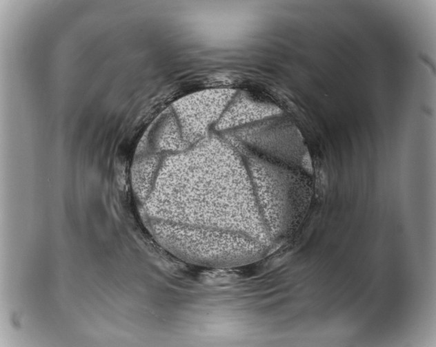 X0000101170331200807251138