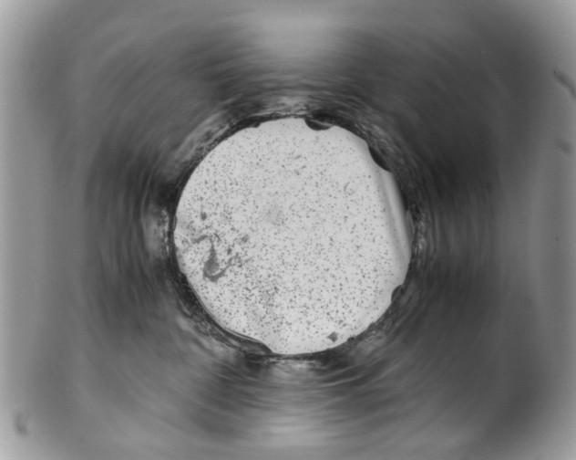 X0000101170332200807251138