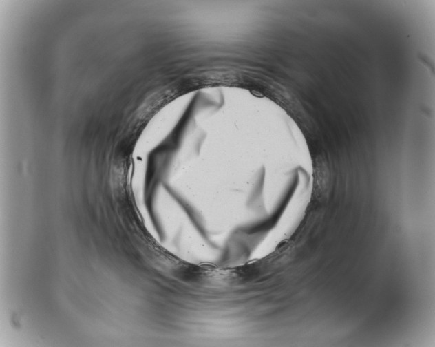 X0000101170333200807251138