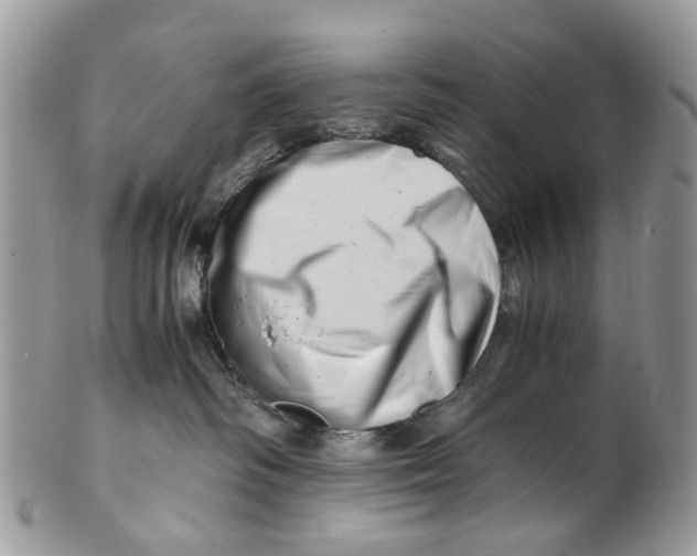 X0000101170334200807251138