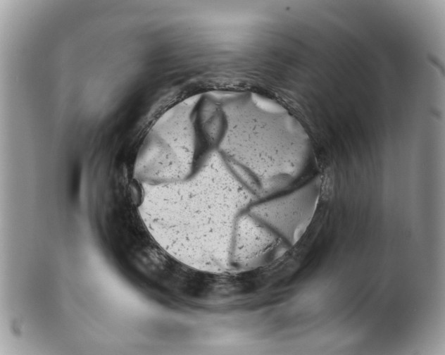 X0000101170335200807251138