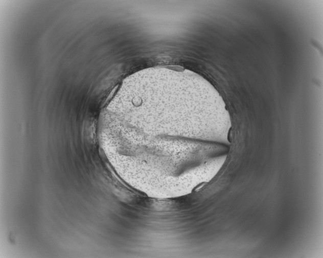 X0000101170336200807251138