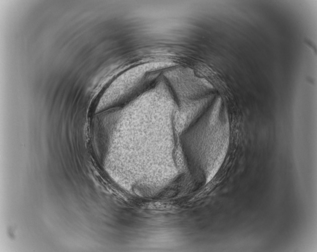 X0000101170338200807251137