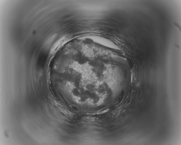 X0000101170339200807251137