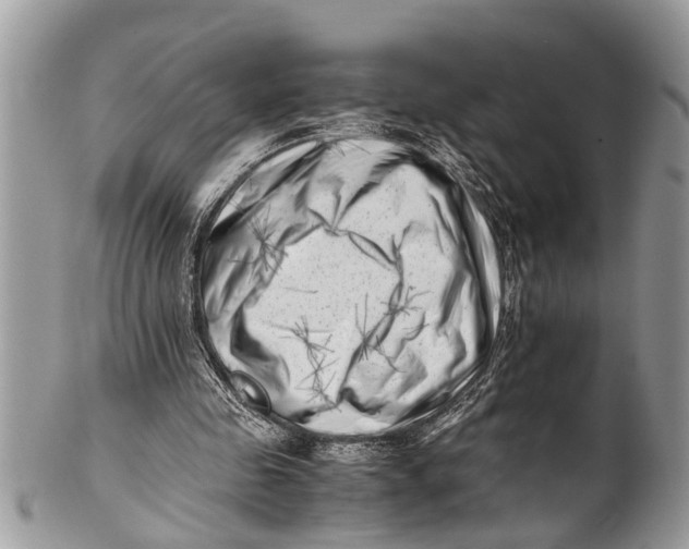 X0000101170341200807251137