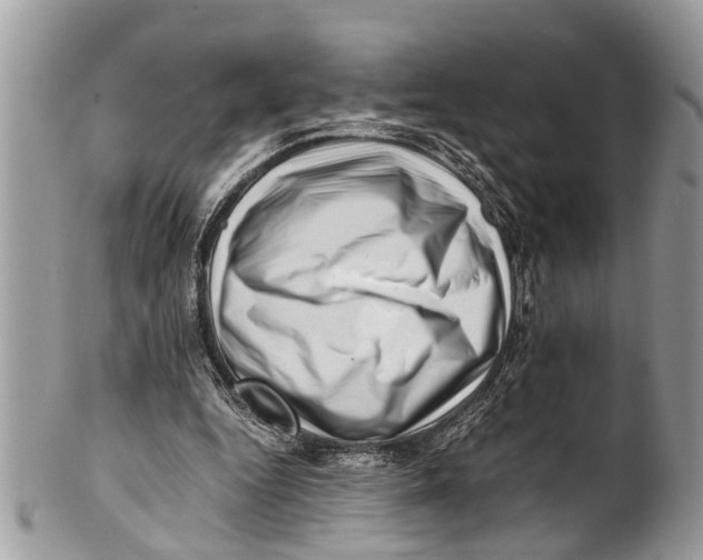 X0000101170344200807251138