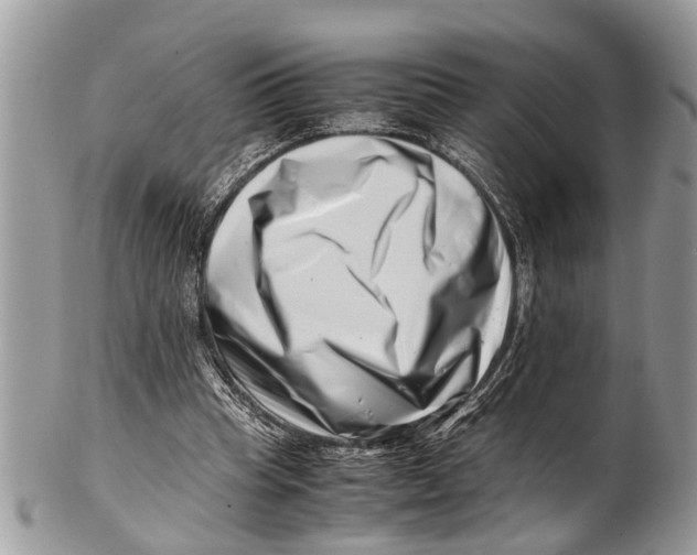 X0000101170345200807251138