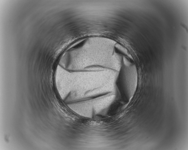 X0000101170346200807251138
