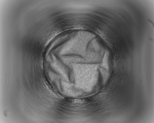 X0000101170347200807251138
