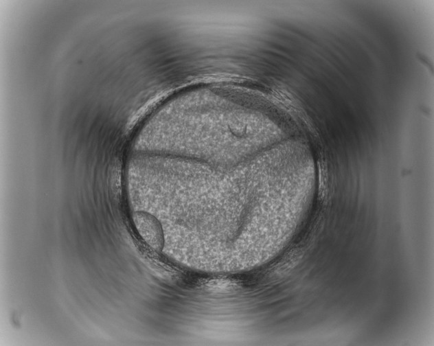 X0000101170348200807251138