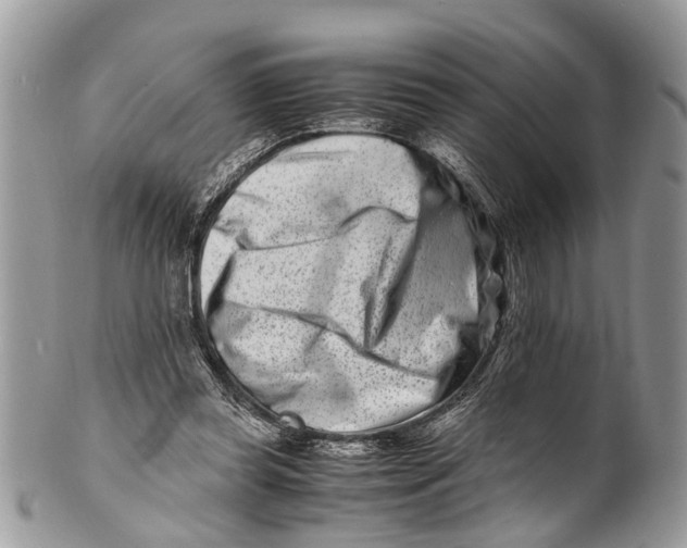 X0000101170349200807251138