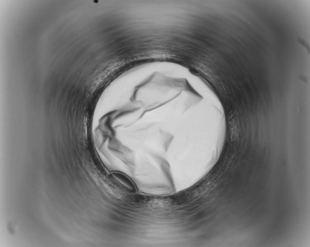 X0000101170350200807251138