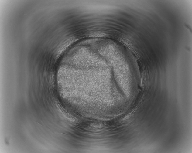 X0000101170351200807251138
