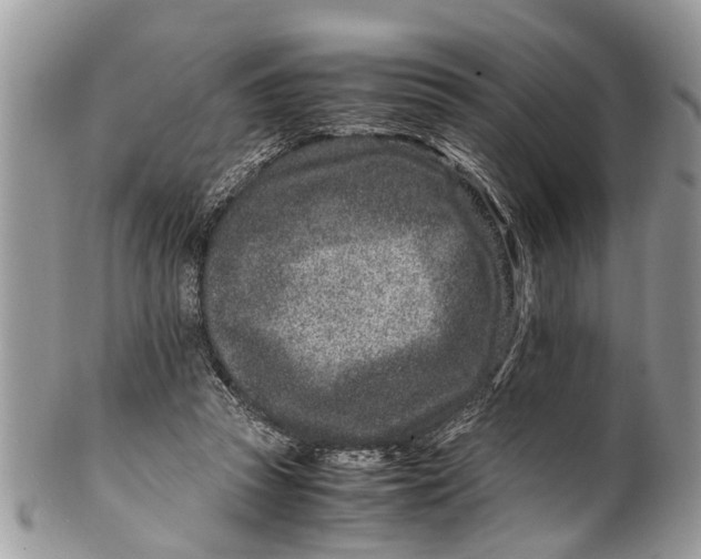 X0000101170353200807251138