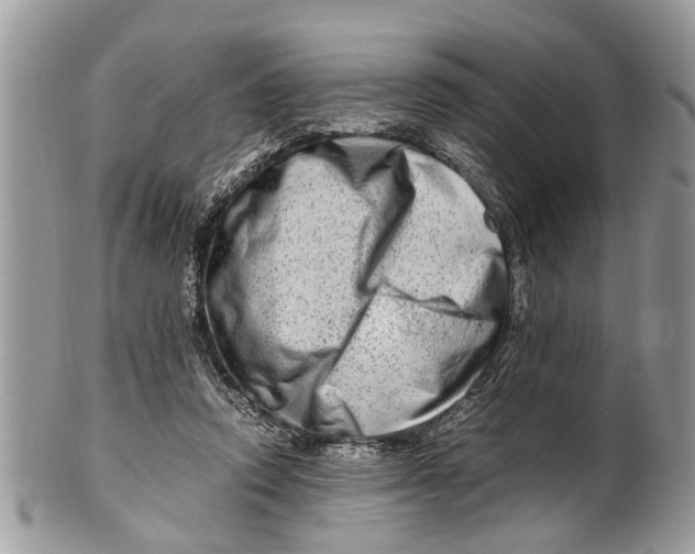 X0000101170354200807251138