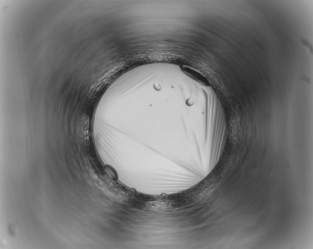 X0000101170356200807251138