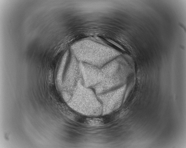 X0000101170359200807251138