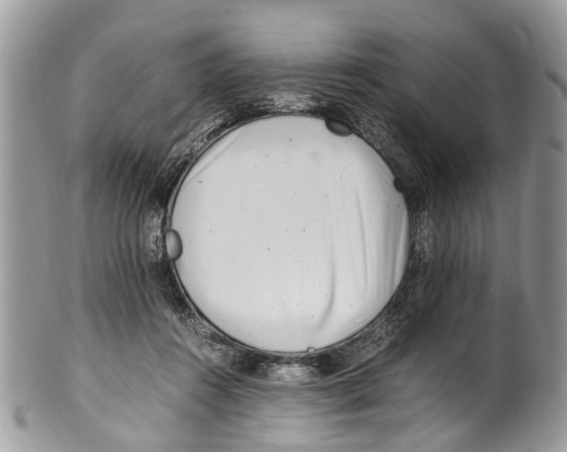 X0000101170360200807251138