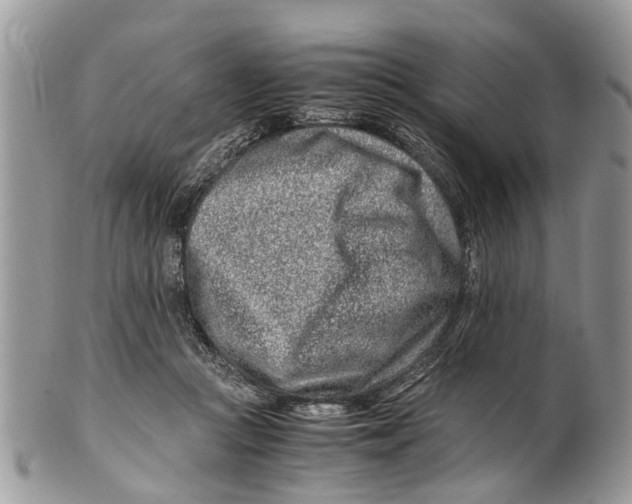 X0000101170361200807251138