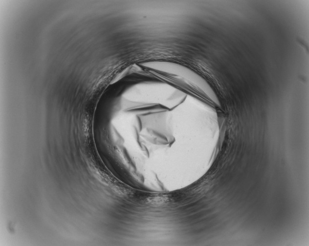 X0000101170362200807251138