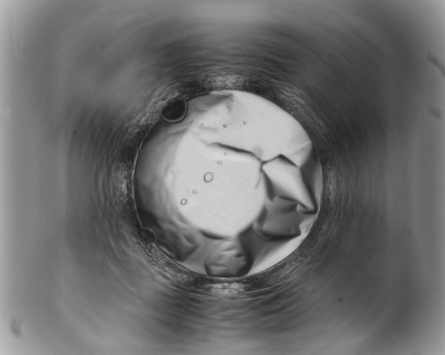 X0000101170363200807251138