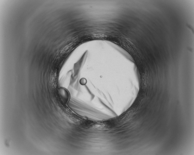 X0000101170364200807251138