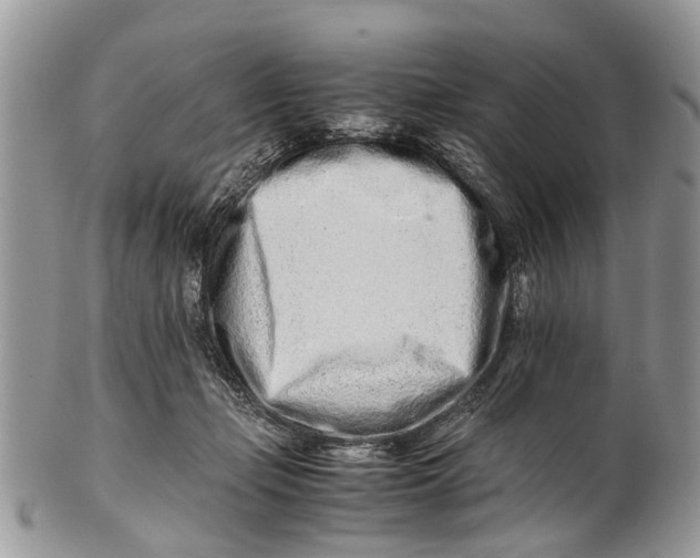 X0000101170365200807251138